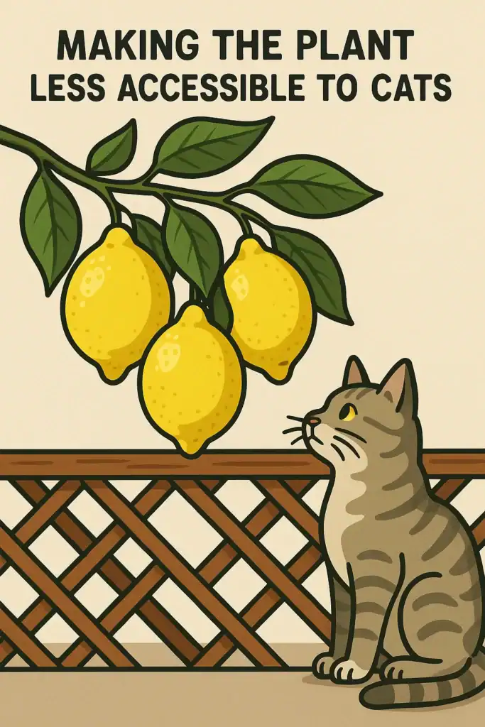 are lemon trees poisonous to cats